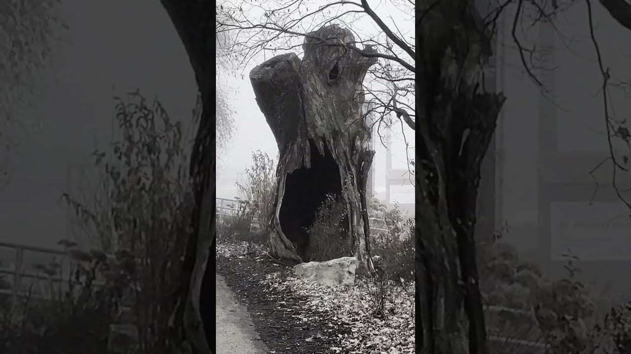 Cyklostezka Josefa Cepáka 