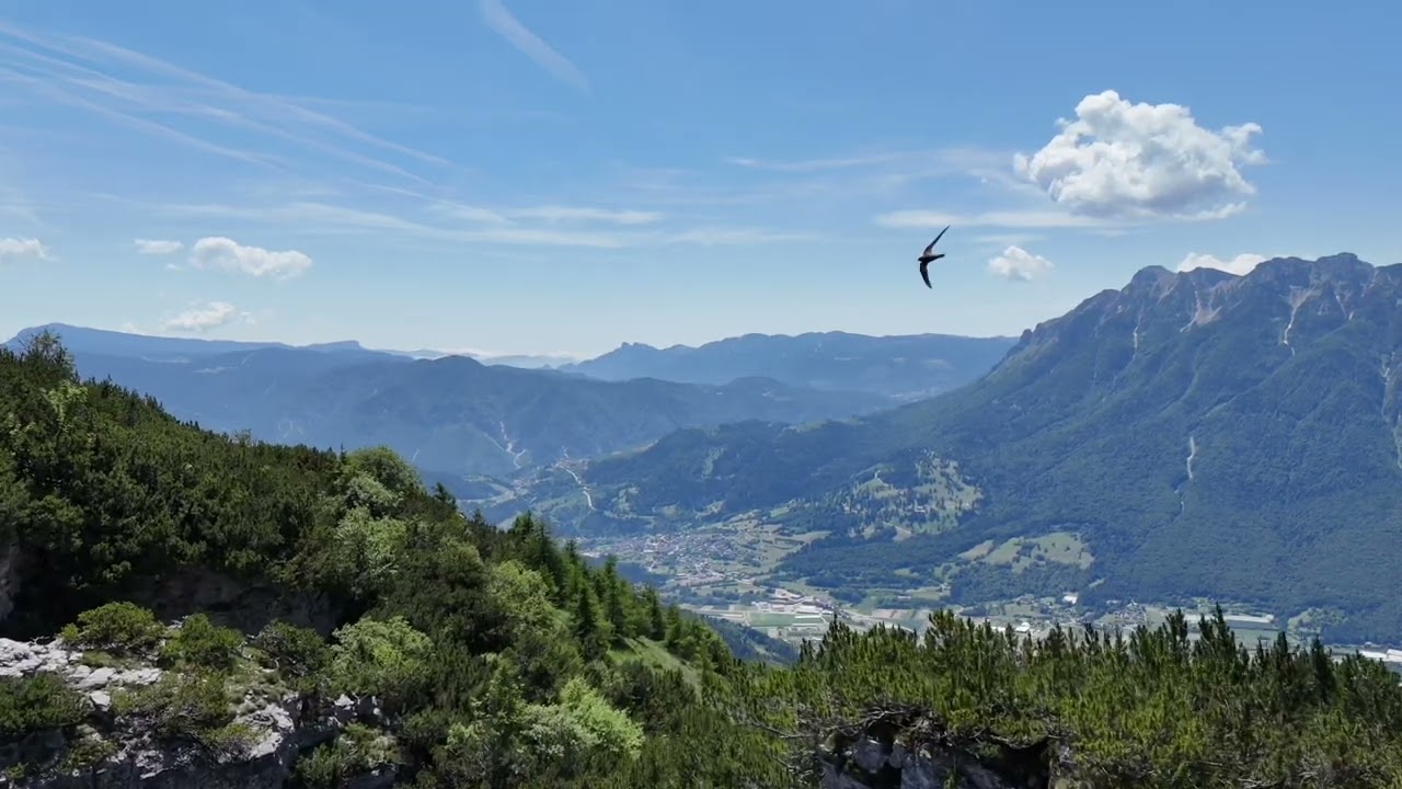 Altopiano vigolana e la Marzola giugno 2024