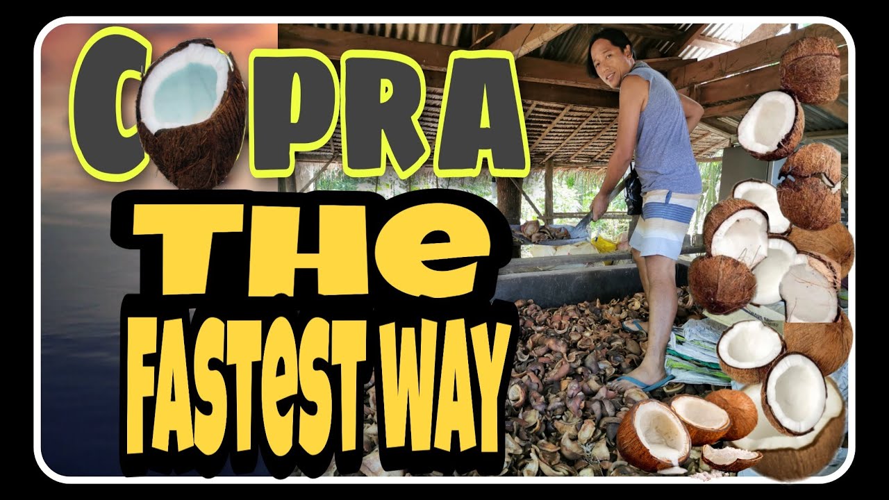 BEST way to cook COPRA | FASTEST WAY