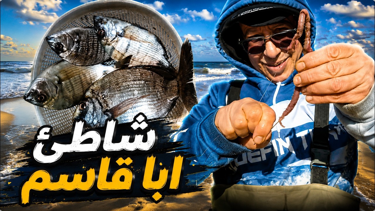 رحلة جديدة بعد غياب