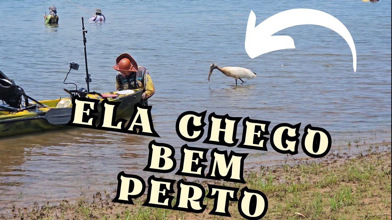 Pescaria no rio grande no abóbora em Icém Sp #fish #pesca #fishing #pescaria