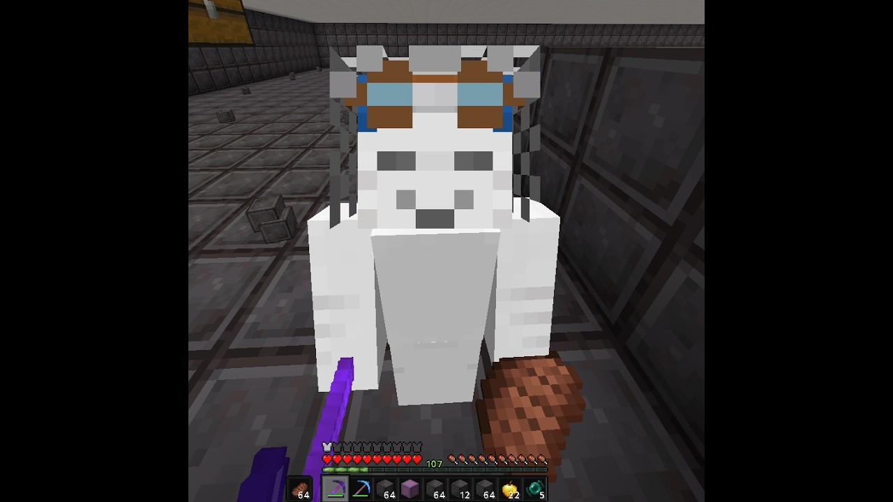 Best Kelp Farm for Donut SMP