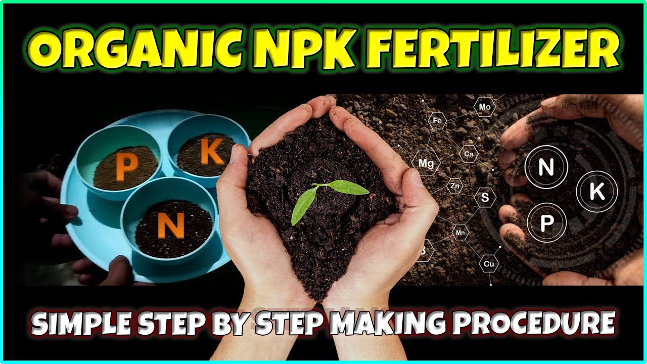 How to make Organic NPK Fertilizer at Home