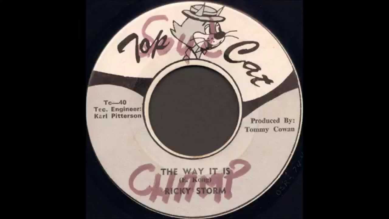 Ricky Storm &lrm;- The Way It Is