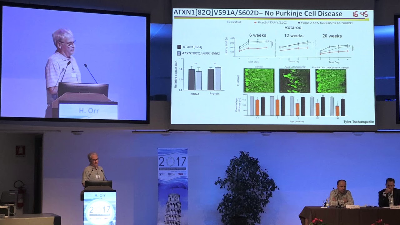 IARC2017 - Spinocerebellar ataxia type 1: neurodegeneration in purkinje cells & brainstem