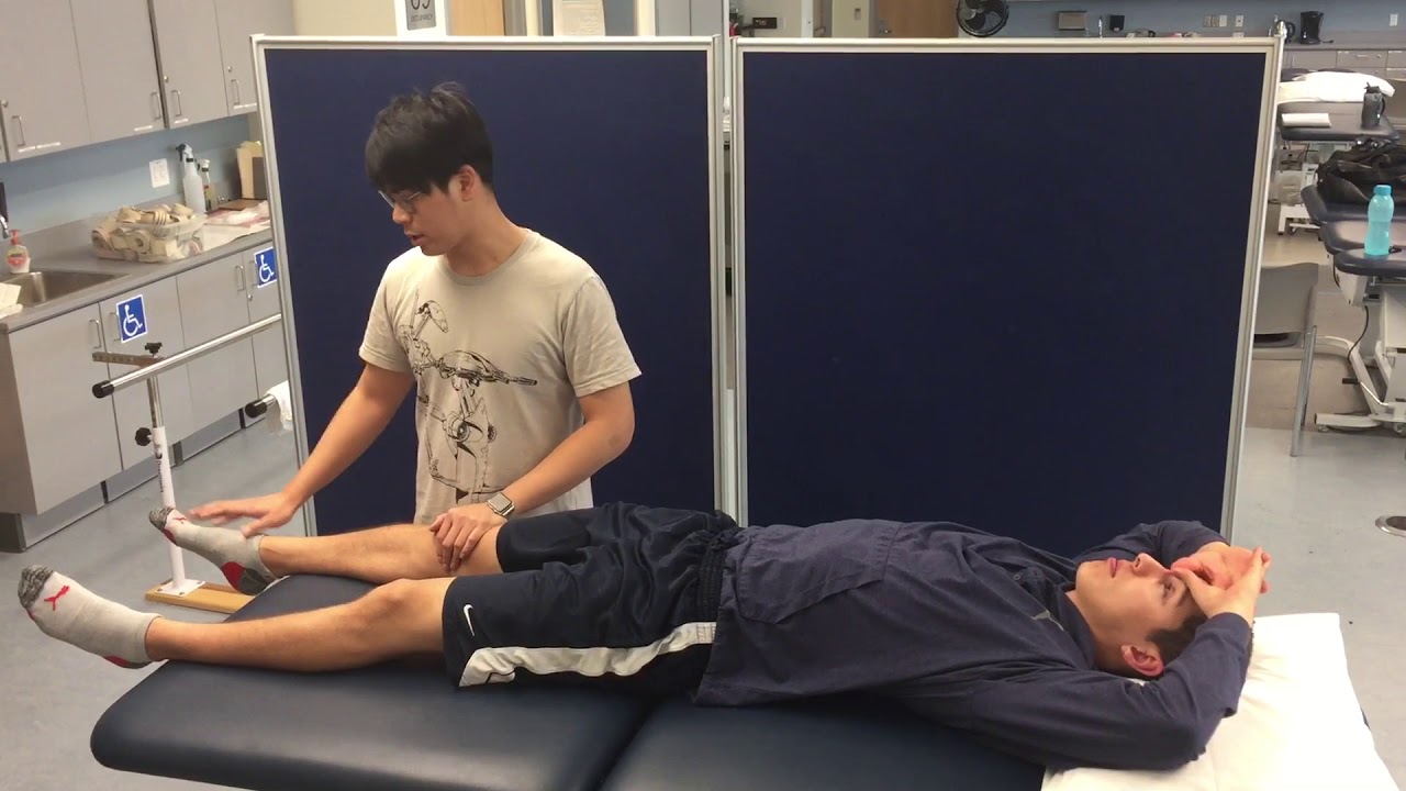 LE D1&D2 Flexion/Extension PNF patterns