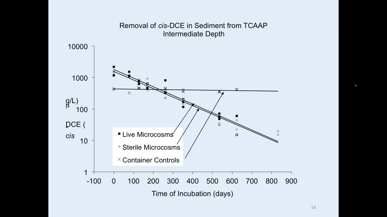 The contribution of abiotic transformations on magnetite and iron sulfides to the attenuation of chl