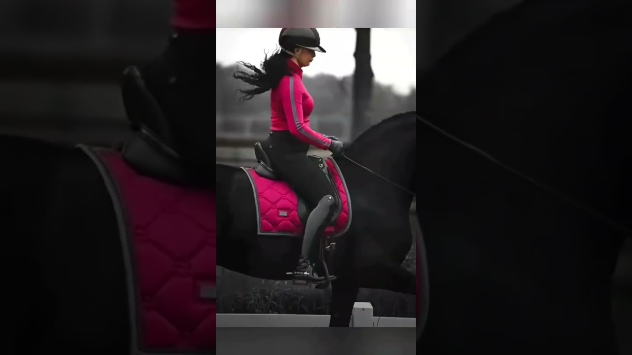 Black Beauty🖤🩷 #horses #edit #equestrian #equine #dressage #aesthetic #barbie #shorts ~🤍