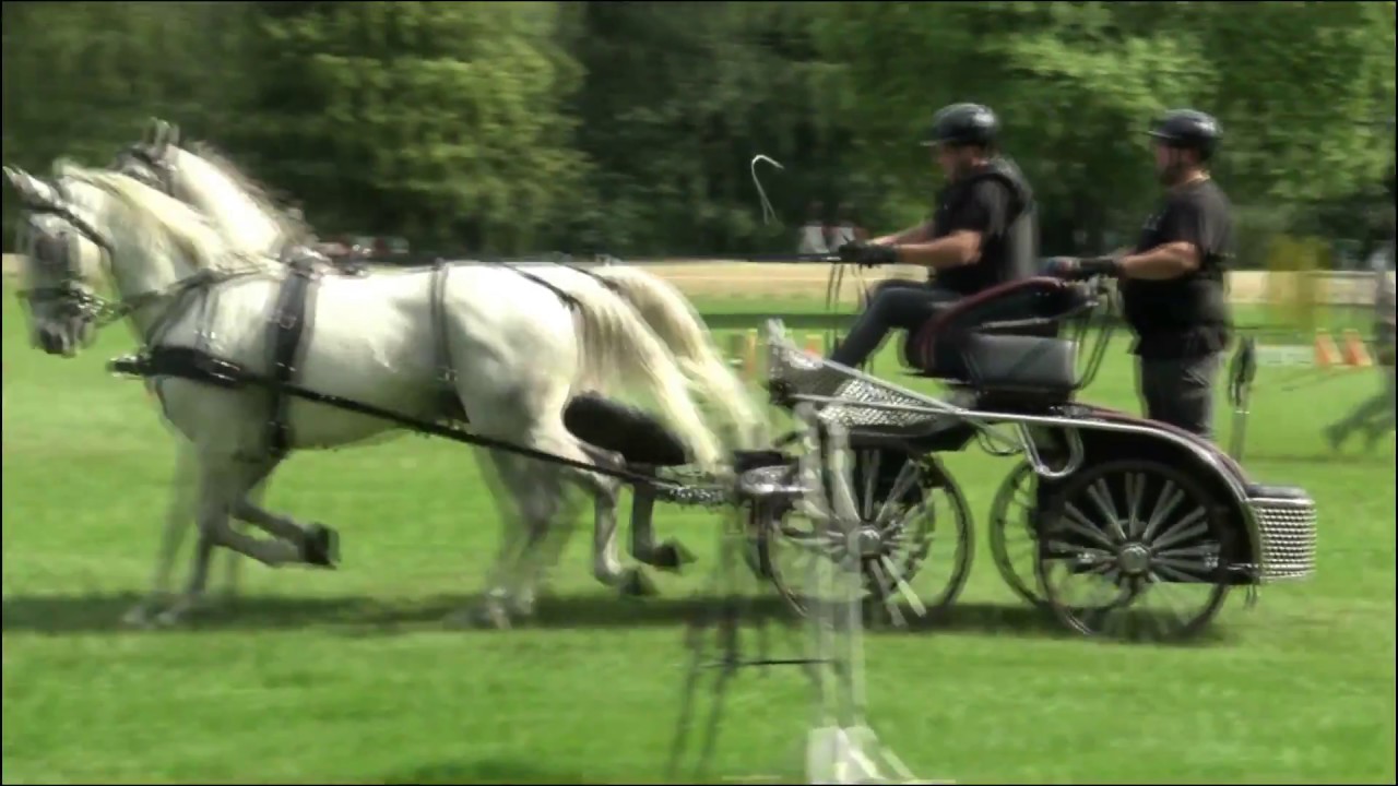 SIERAKÓW 2018 DAWID GAWROŃSKI AMATORSKIE ZAWODY W POWOŻENIU