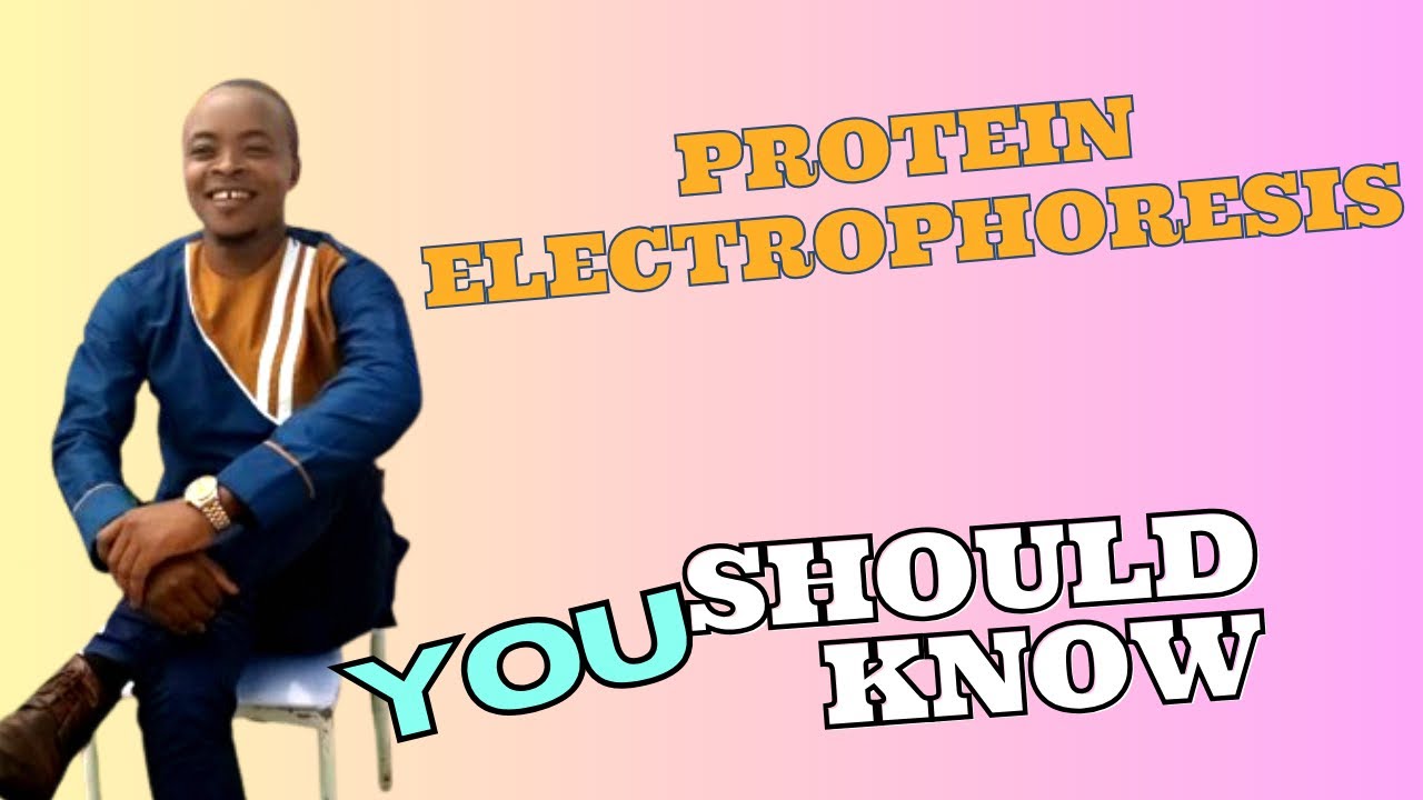 PROTEIN ELECTROPHORESIS