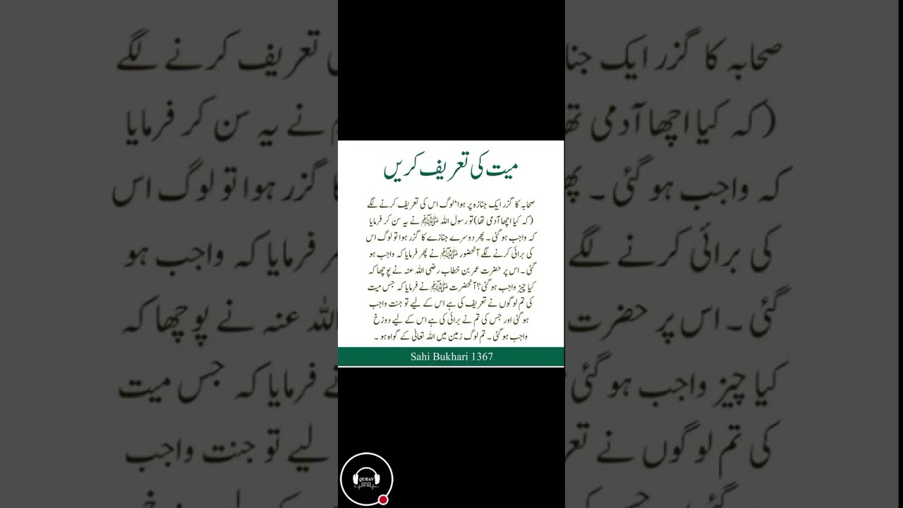 The Quran Voice | live videos