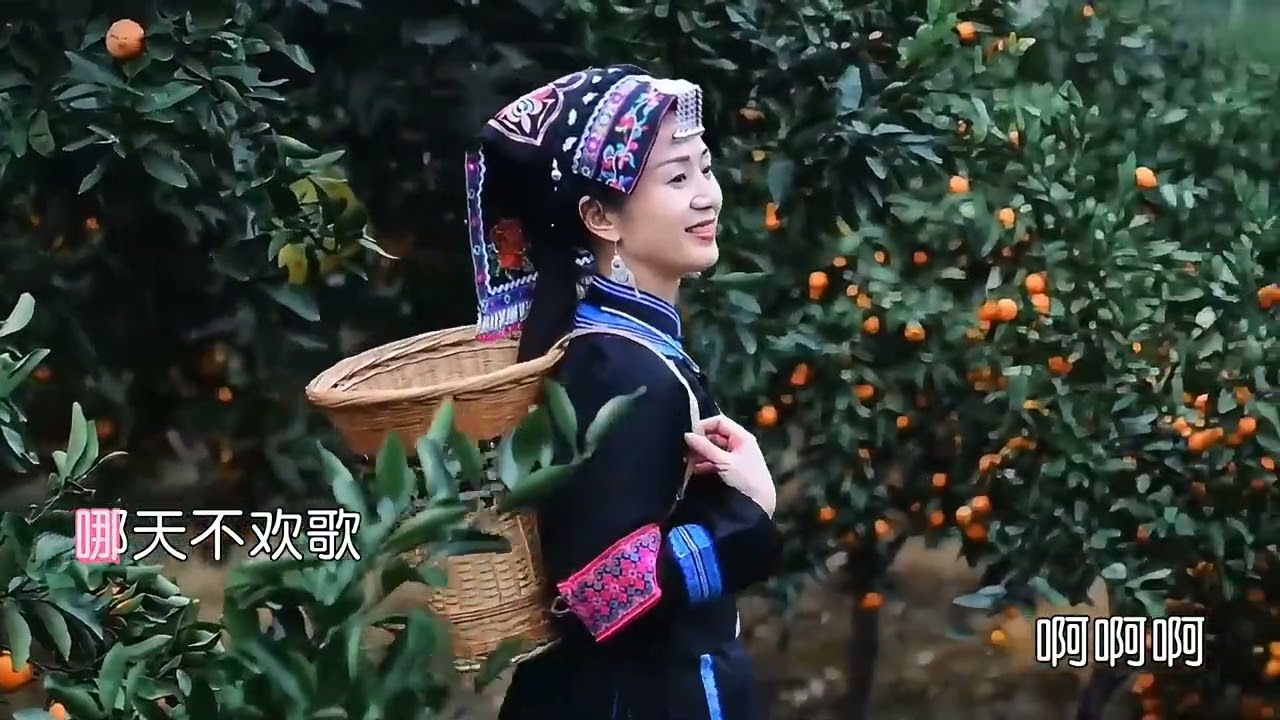 樱花缘