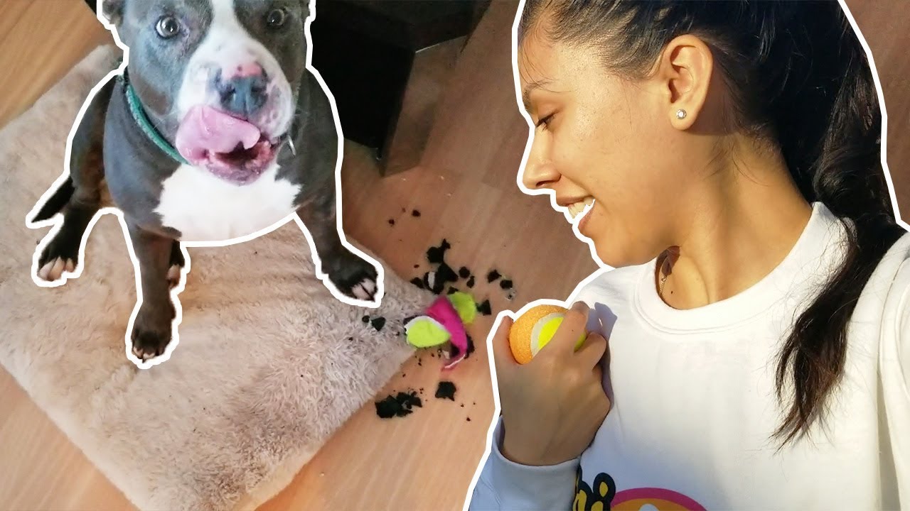 OH NO! WHAT DID SHE DO?! - VLOG #42 -