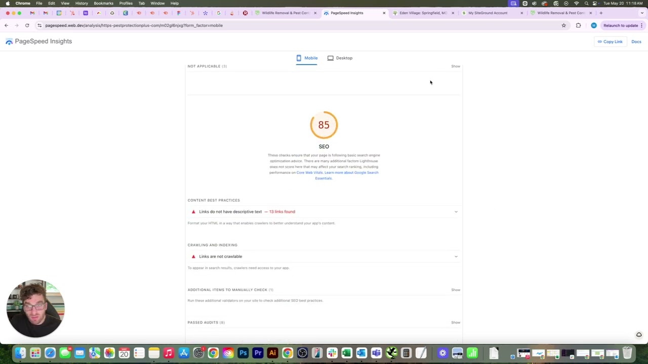 Website Audit: Pest Protection Plus | SEO & UX Review (2025)