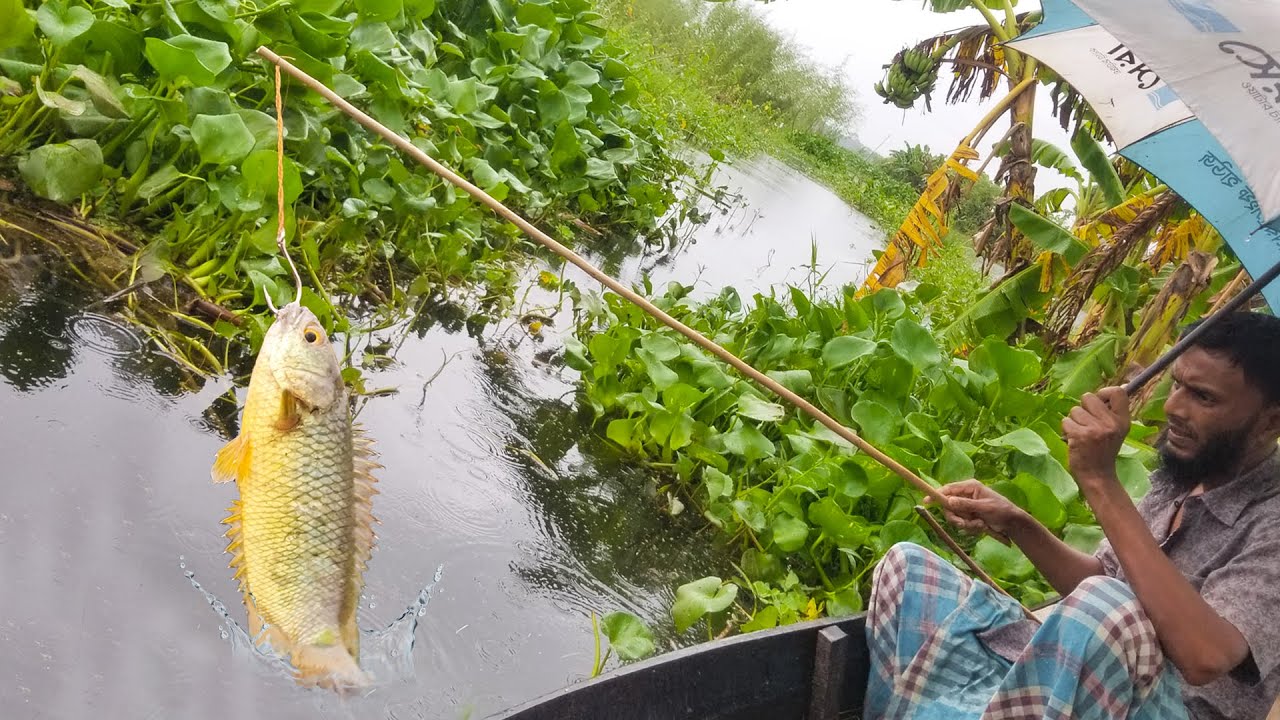 Hook Fishing | Rainy Day Fishing in Village  Of Bangladesh - Amazing Fishing with Nature