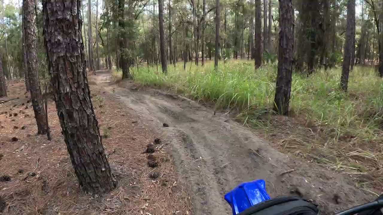 croom solo 2/14/2026.