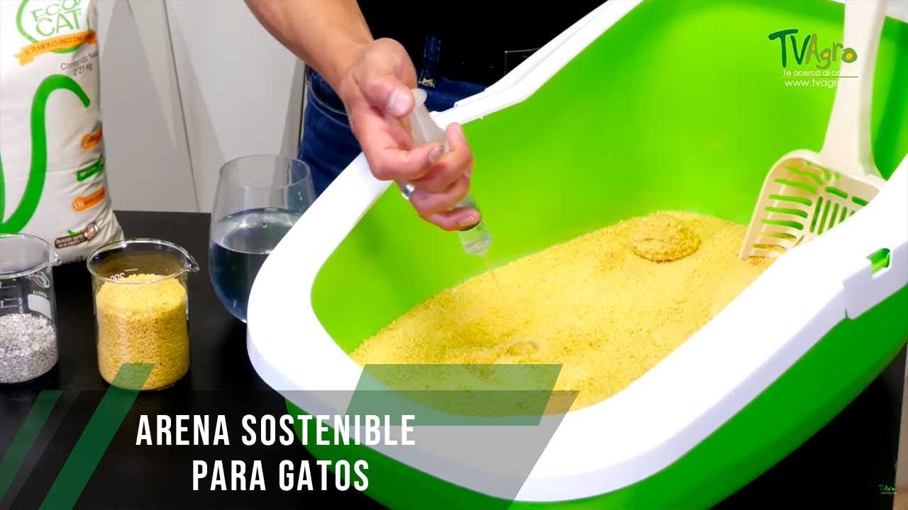 Arena sostenible para gatos - TvAgro por Juan Gonzalo Angel Restrepo