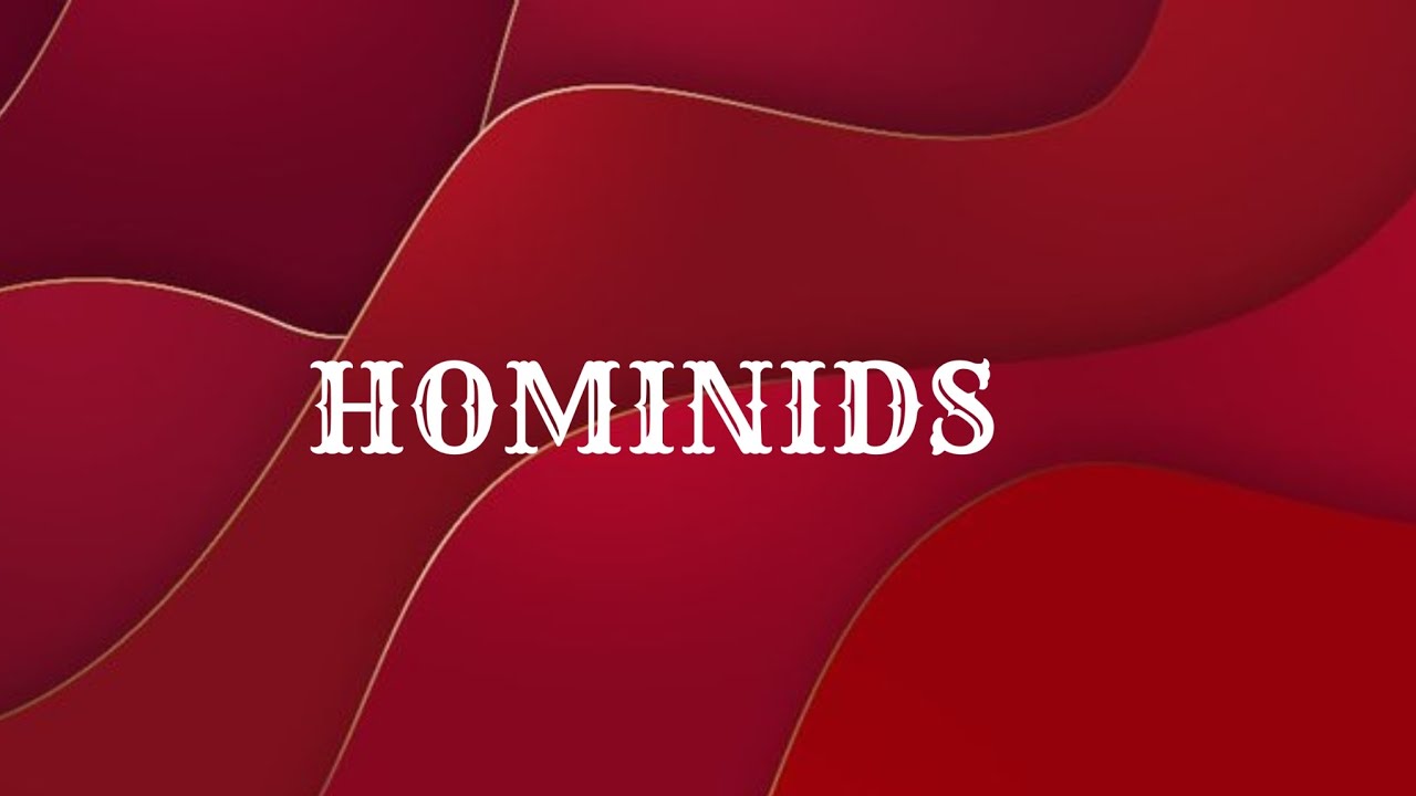 HOMIVERSE | MOBILE METAVERSE