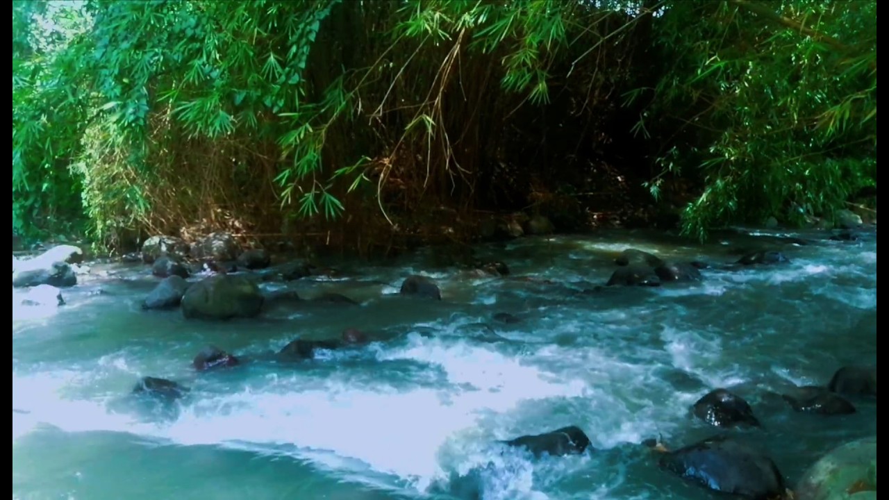 Relaxing River Sound emotional therapy to relieve stress and mental disorders for sleeping.