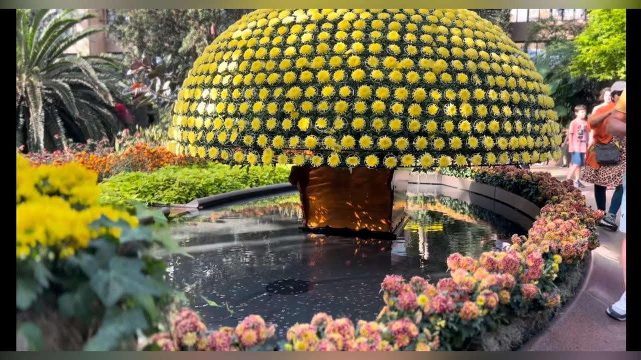 Exploring Longwood Gardens  Conservatory Fall 2023