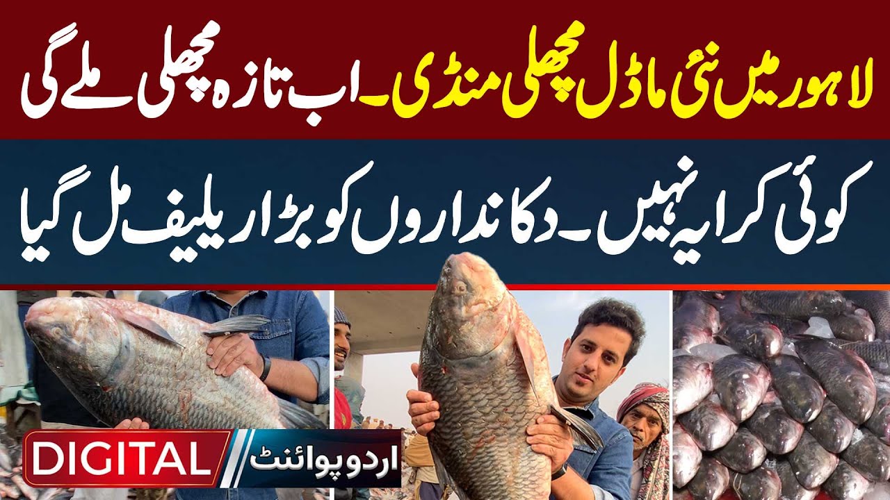 Lahore Me New Model Machli Mandi, Ab Fresh Fish Mile Gi, Koi Rent Nahi, Shopkeeper Ko Relief Mil Gia