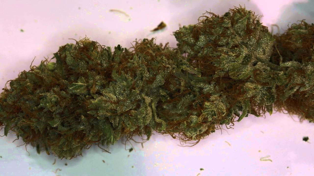 Alien Rift Monocrop Final Harvest Results Video
