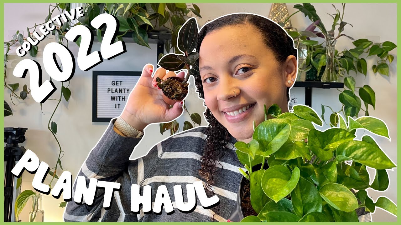 2022 Plant HAUL | All of the Plants I Have Purchased This Year