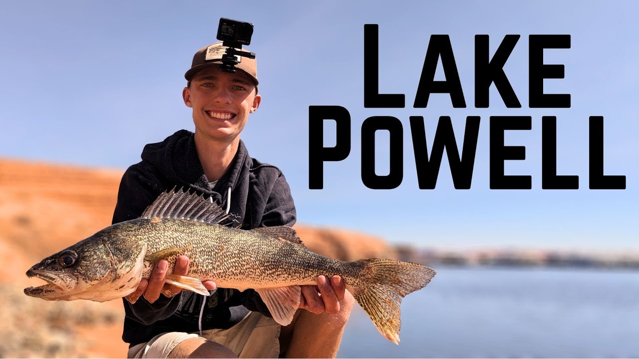 Epic Lake Powell multi-species fishing! | Early Spring 2025 | Striped Bass CATCH N COOK