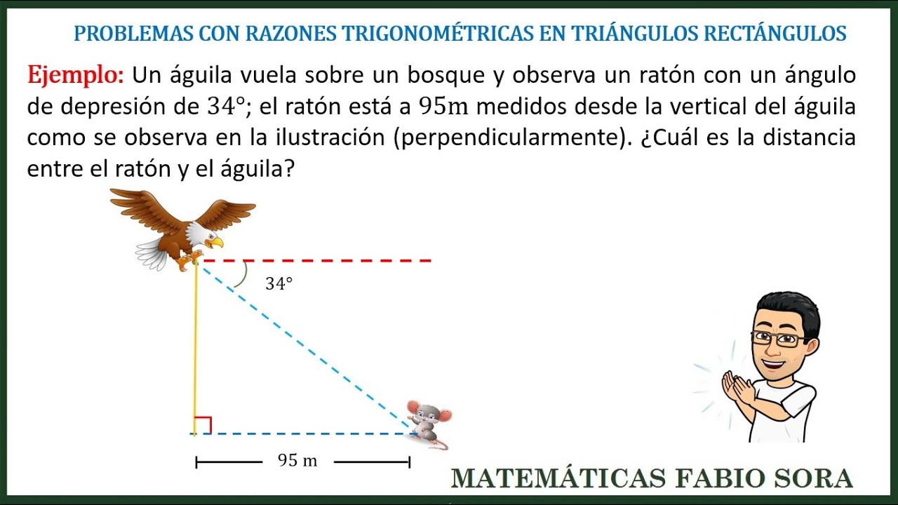 Problemas con razones trigonométricas en triángulos rectángulos  Ejercicio 4