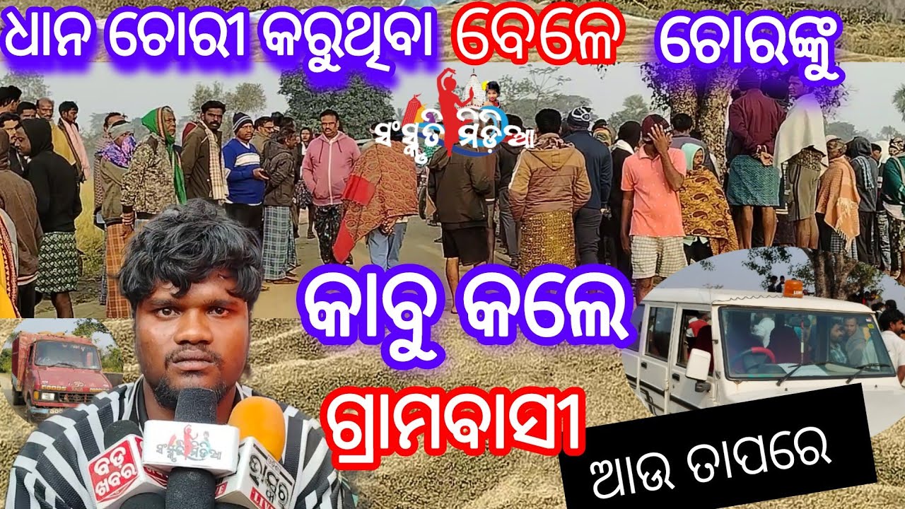 ଧାନ ଚୋରୀ କରୁଥିବା ୮ ଜଣ ଚୋର ଙ୍କୁ କାବୁ କଲେ ଗୌଡ଼ଟିକ୍ରା ଗ୍ରାମବାସୀ //ତାପରେ କଣ ହେଲା ଦେଖନ୍ତୁ #sanskritimedia