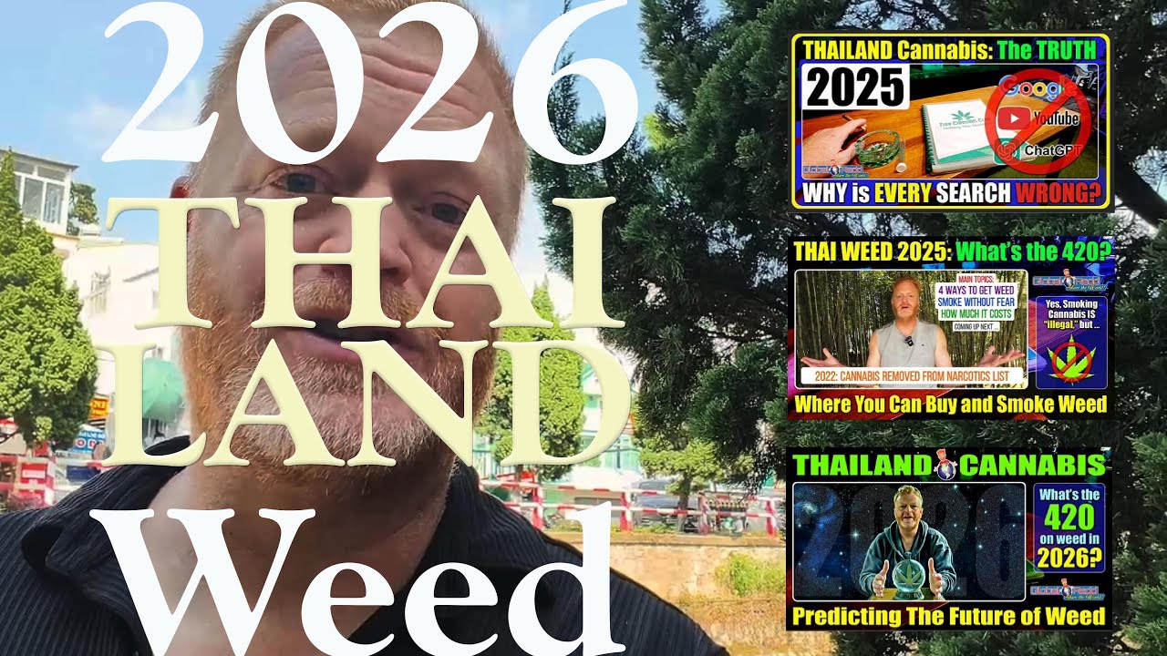 Закон о каннабисе в Таиланде в 2026 году 🇹🇭 | Законы, где курить и что нужно знать туристам