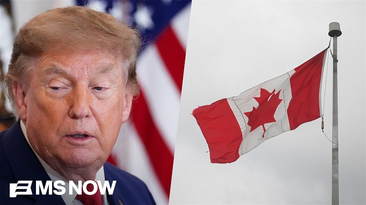 'Undermining America' on global stage: Economist TORCHES Trump's tariff disaster