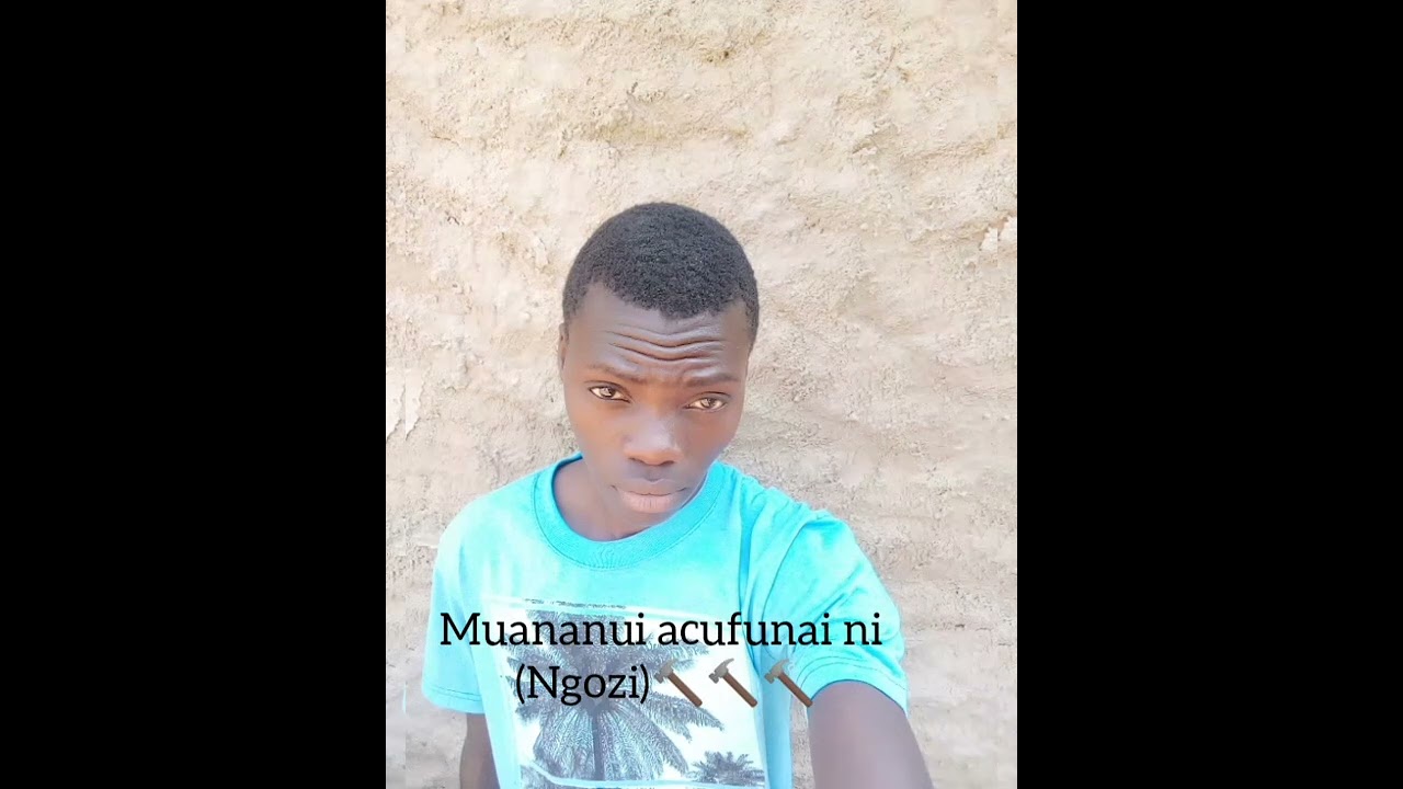twelex song