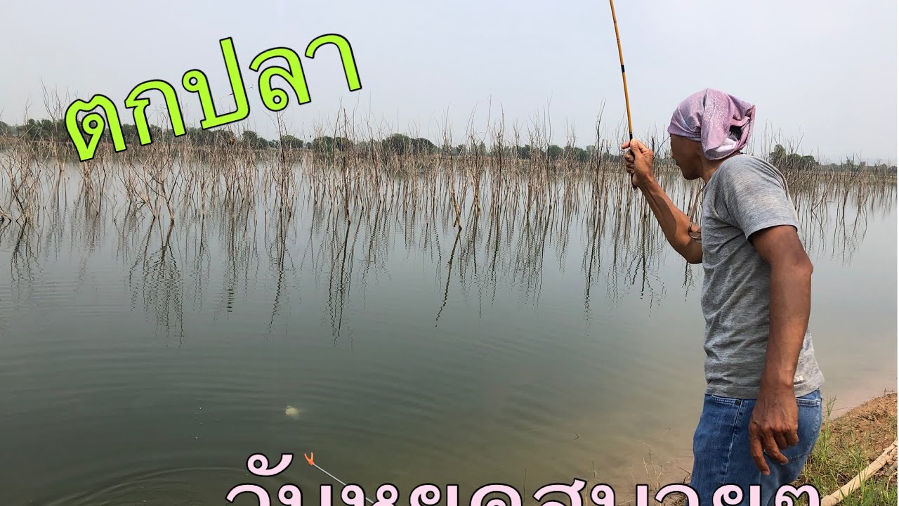 EP 87 ตกปลาหมายธรรมชาติ หมายบ่อ ตกชิงหลิว หน้าดิน วันหยุด #fishing #ตกปลา #ตกชิงหลิว 