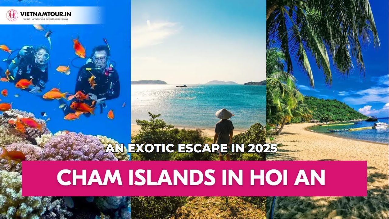 Explore Cham Islands Vietnam &ndash; Best Things To Do in 2025!