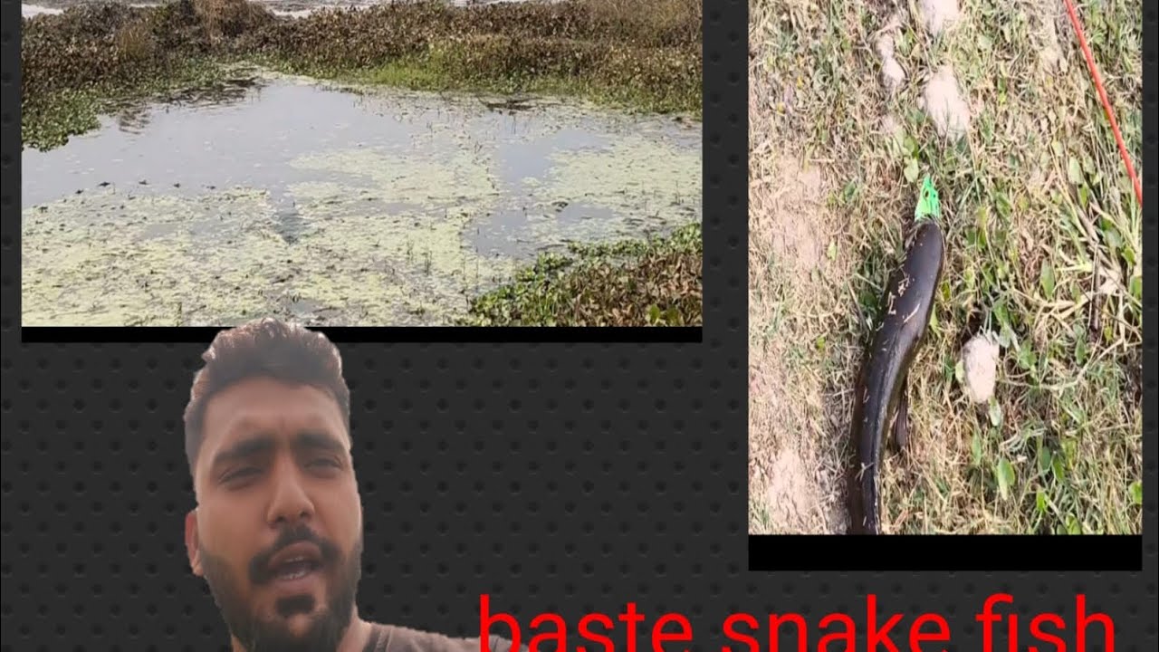 Sainikit fishing 🎣#viral video #