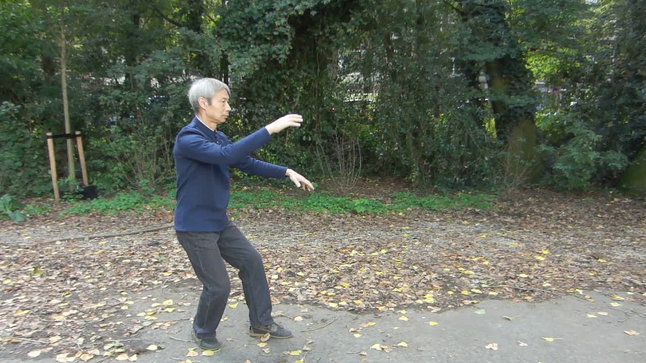 Yang Shao-Hou Tai Chi Chuan via Gu Li-Sheng, the 2nd route (of 6 routes).