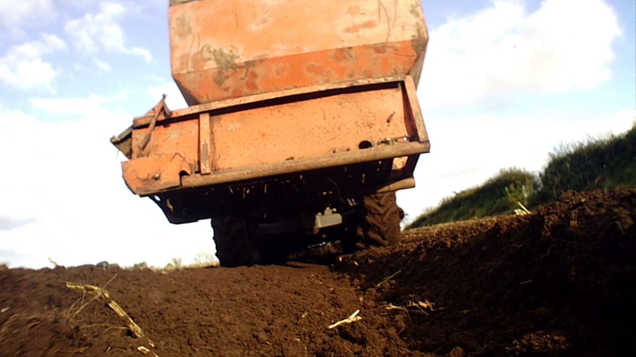 Potato Harvest In North Antrim Massey Ferguson  6140 & Underhaug Harvester.