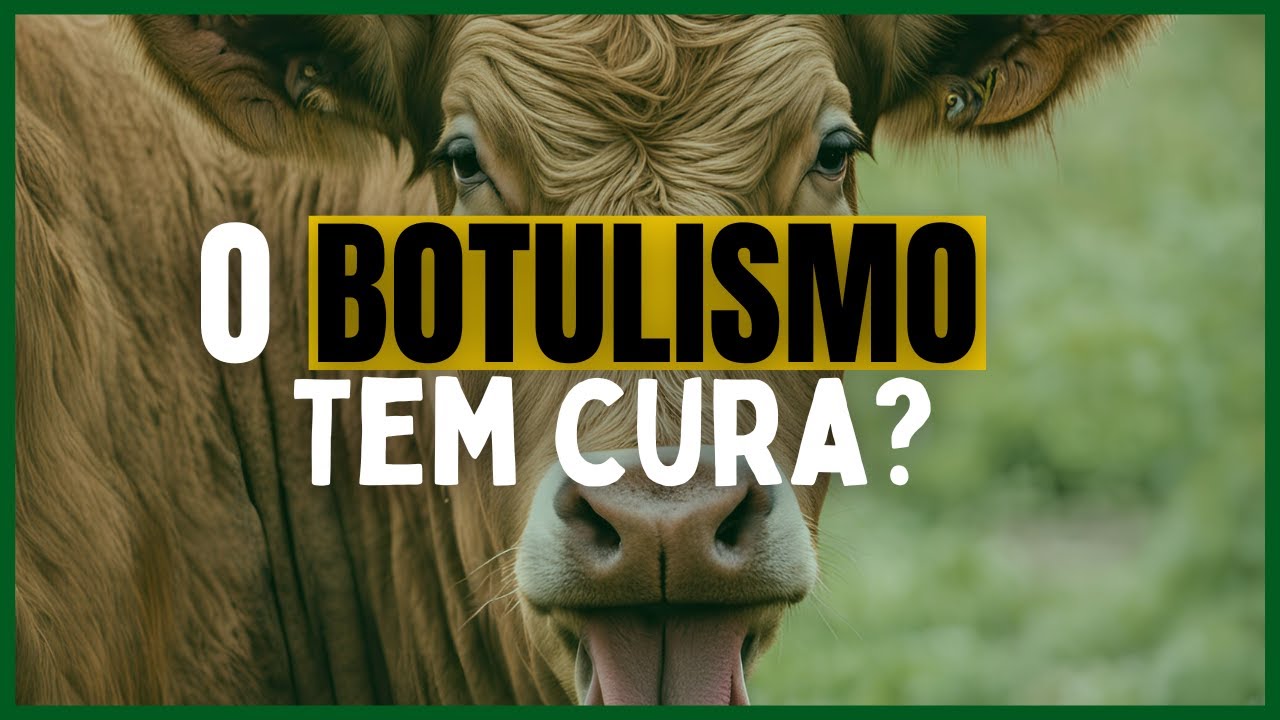 BOTULISMO em bovinos: sintomas, tratamento e como proteger o rebanho