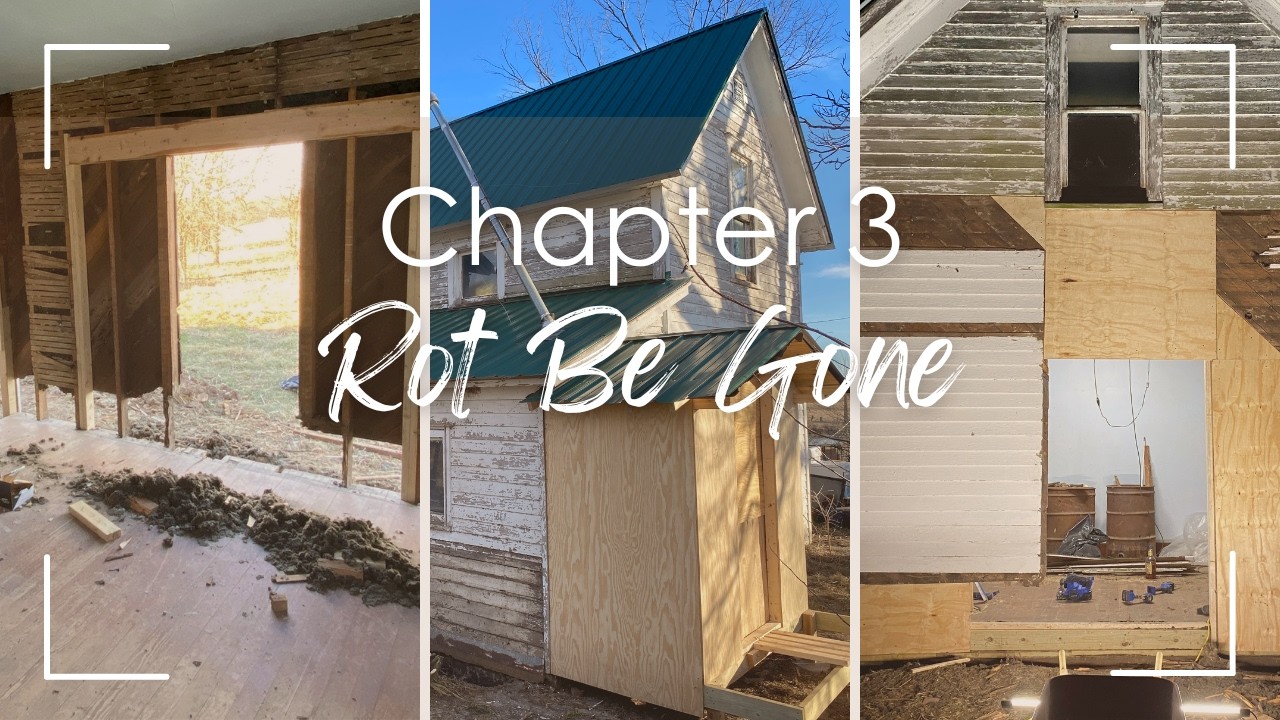 Chapter 3: Rot Be Gone