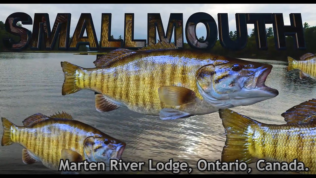 2023- Marten River Lodge