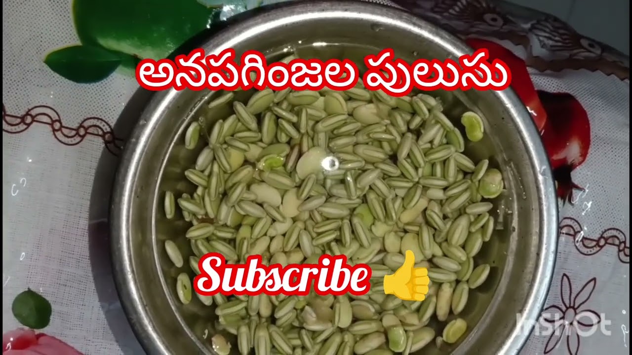 Anapaginjala pulusu