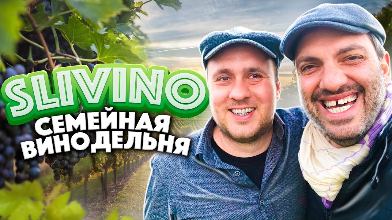 SliVino: Первая крафтовая винодельня Украины. В гостях у семьи виноделов Молчановых.