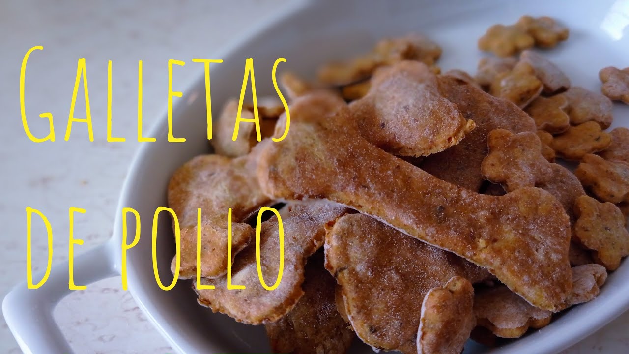GALLETAS DE POLLO PARA PERROS!!! SOLO 3 INGREDIENTES!!