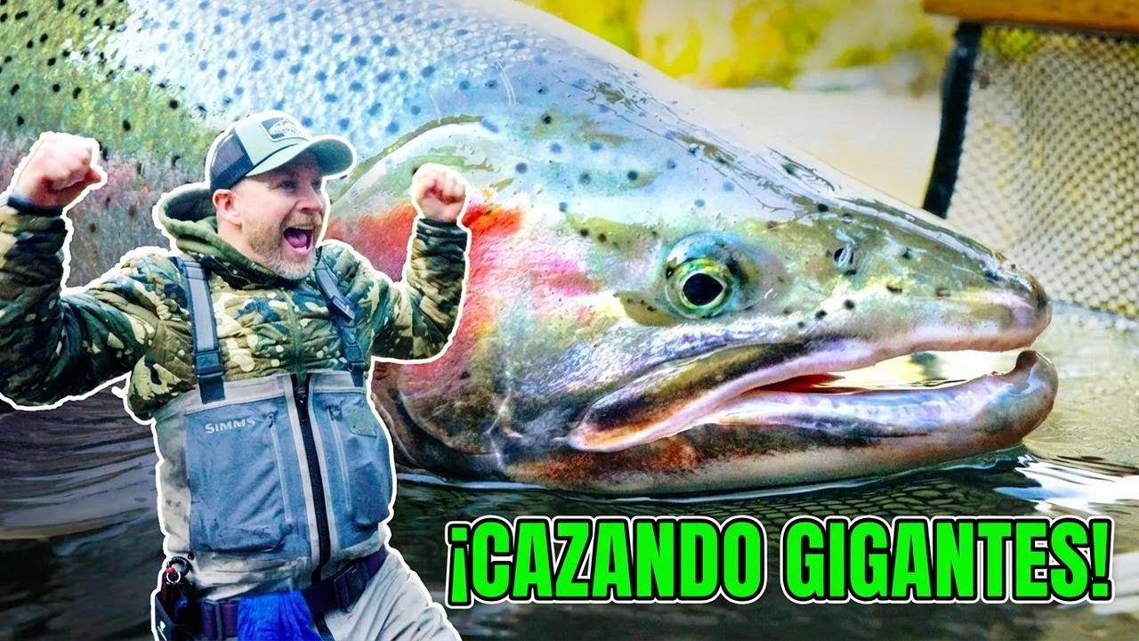 ¡Probando suerte desde la orilla en un nuevo río y atrapando enormes steelhead plateados!