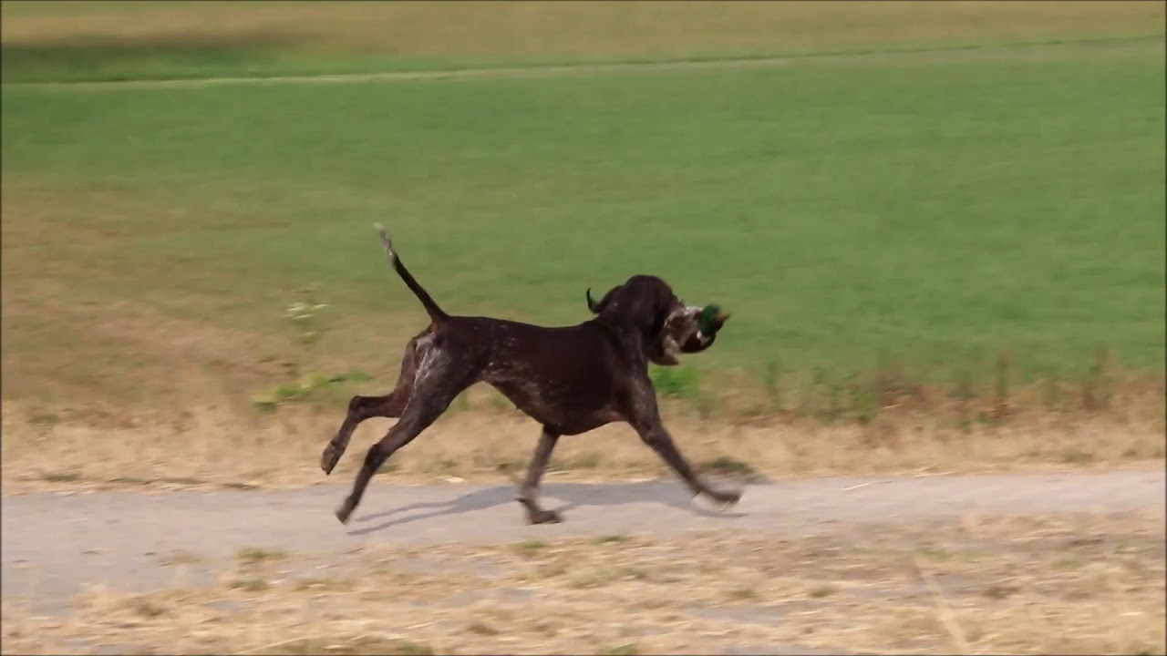 SJP test in  Markelo (NL) 2018
