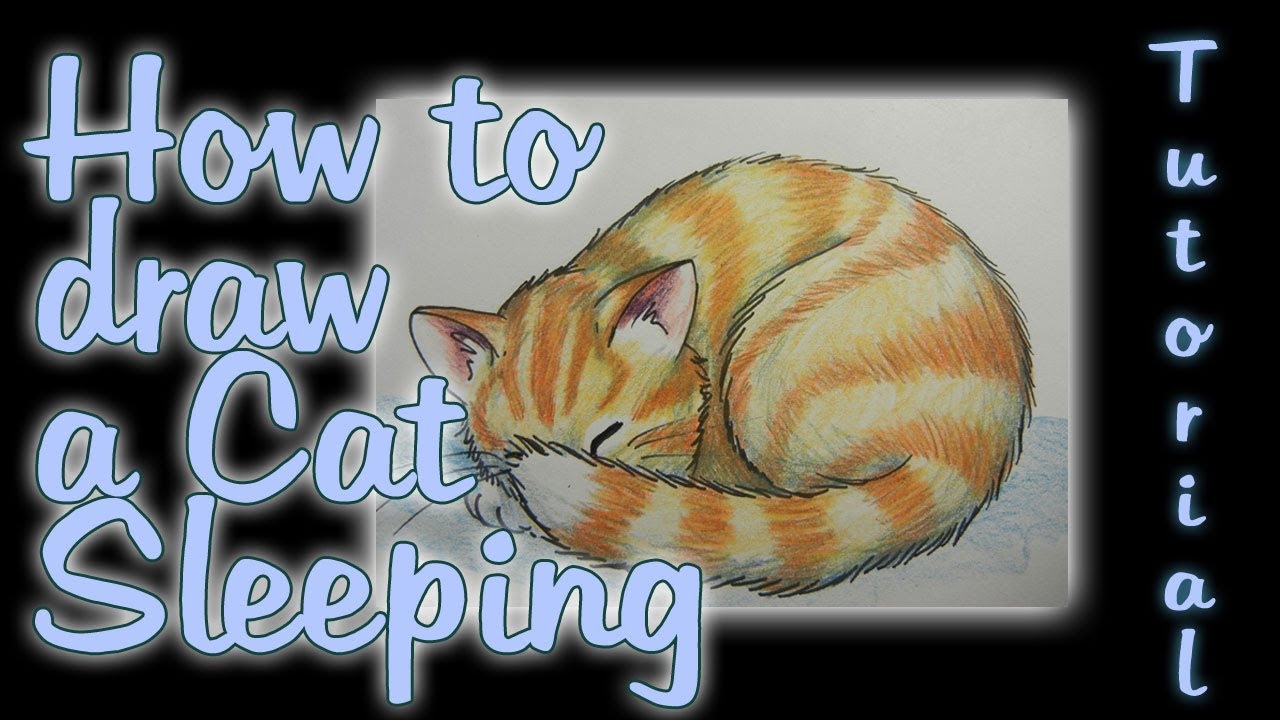 How to draw a Cat Sleeping