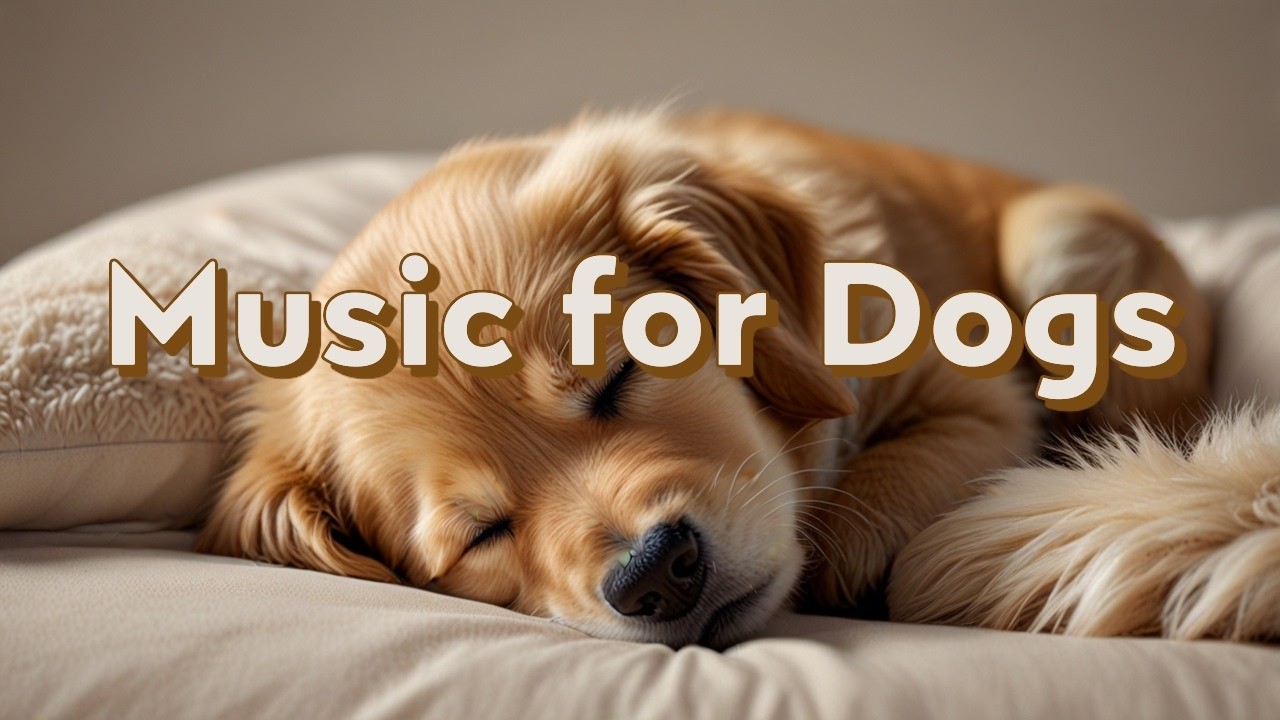 Calming Music for Dogs with Separation Anxiety – Relax Your Dog Fast