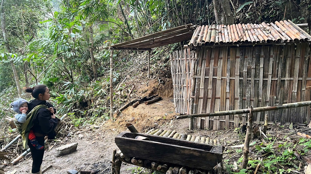 30 Days Living in the Forest – Turning a Ruined House into a Safe Shelter