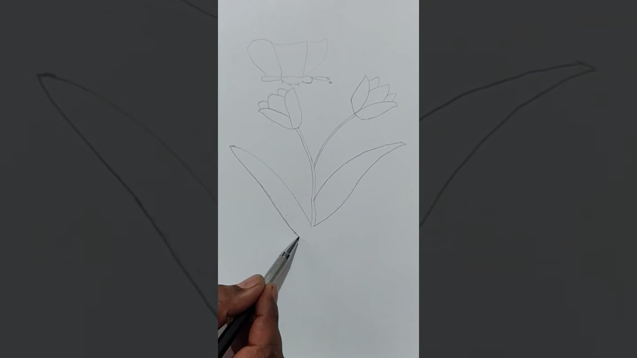 Colourful flower and Butterfly Drawing step by step 